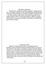 Referāts 'Dienvidamerika', 16.