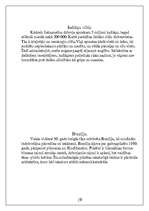 Referāts 'Dienvidamerika', 19.