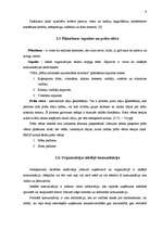 Prakses atskaite 'Sabiedriskās attiecības', 9.