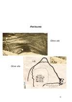 Referāts 'Zināmo dabīgo alu skaits Latvijā', 20.