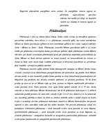 Referāts 'Alternatīvie enerģijas veidi - plūdmaiņa', 2.