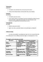 Konspekts 'Polimēri', 4.