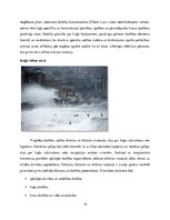 Referāts 'Kuģa vadīšana un manevrēšana ārkārtējos apstākļos', 14.