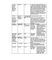 Konspekts 'Spiķeris latv. lit. eksāmenam/шпоргалка по лат. лит. для экзамена', 2.