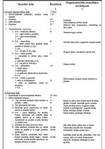 Konspekts 'Konspekts sportā 10.klasei (soļošana)', 2.