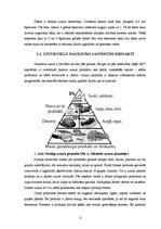 Referāts 'Jauniešu uztura īpatnības', 11.