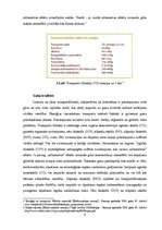 Referāts 'Starptautisko pārvadājumu ietekme uz vidi', 9.