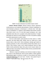 Referāts 'Starptautisko pārvadājumu ietekme uz vidi', 30.