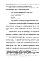 Referāts 'Starptautisko pārvadājumu ietekme uz vidi', 32.