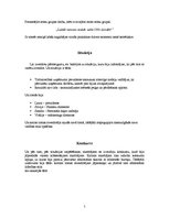 Referāts 'Līderības stili', 5.