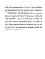 Referāts 'Karš un karotāji Senās Grieķijas vēsturē, Trojas karš', 5.