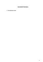 Referāts 'Kriminālprocesa uzsākšanas kārtība', 9.