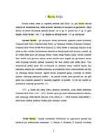 Referāts 'Baroks un rokoko - apgaismības laikmeta valdošie stili Eiropas arhitektūrā', 5.