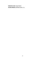 Referāts 'Baroks un rokoko - apgaismības laikmeta valdošie stili Eiropas arhitektūrā', 17.