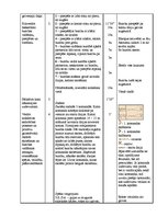 Paraugs 'Sporta stundas konspekts 2.klasei. Basketbols', 3.