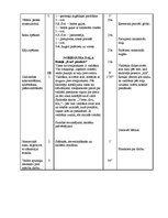 Paraugs 'Sporta stundas konspekts 2.klasei. Basketbols', 4.