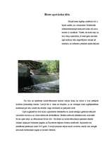 Referāts 'Jūrkalne', 4.