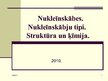 Prezentācija 'Nukleīnskābes. Nukleīnskābju tipi', 1.
