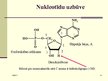 Prezentācija 'Nukleīnskābes. Nukleīnskābju tipi', 10.