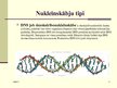 Prezentācija 'Nukleīnskābes. Nukleīnskābju tipi', 11.