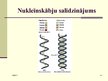 Prezentācija 'Nukleīnskābes. Nukleīnskābju tipi', 14.