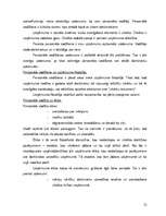 Referāts 'Siera restorāna izveidošana', 12.