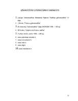 Referāts 'Siera restorāna izveidošana', 17.