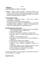 Paraugs 'Muzeju prakse', 2.