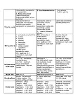 Paraugs 'Muzeju prakse', 9.