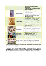 Paraugs 'Muzeju prakse', 15.