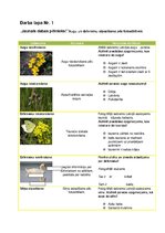 Paraugs 'Muzeju prakse', 16.