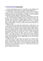 Paraugs 'Muzeju prakse', 20.