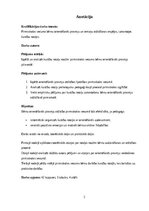 Diplomdarbs 'Pirmsskolas vecuma bērnu orientēšanās prasmju un iemaņu attīstīšanas iespējas ku', 2.