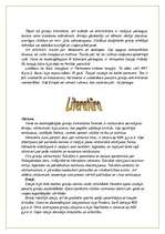 Referāts 'Grieķu kultūras uzplaukums', 8.