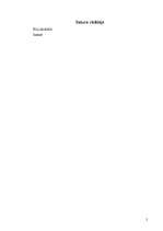 Biznesa plāns 'SIA "Rotas"', 2.