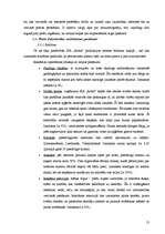 Biznesa plāns 'SIA "Rotas"', 13.