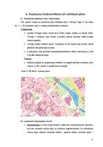 Biznesa plāns 'SIA "Rotas"', 15.