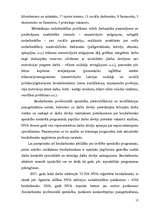 Referāts 'Bezdarbs Latvijā', 17.