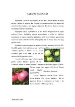 Prakses atskaite 'Dārzkopība', 2.