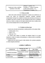 Biznesa plāns 'Biznesa plāns sporta klubam', 16.