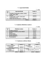 Biznesa plāns 'Biznesa plāns sporta klubam', 18.