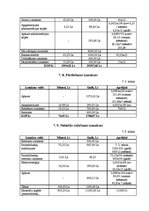 Biznesa plāns 'Biznesa plāns sporta klubam', 21.