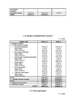 Biznesa plāns 'Biznesa plāns sporta klubam', 22.