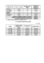 Biznesa plāns 'Biznesa plāns sporta klubam', 23.