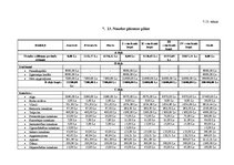 Biznesa plāns 'Biznesa plāns sporta klubam', 24.