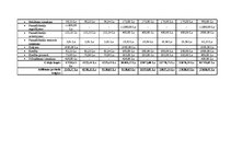 Biznesa plāns 'Biznesa plāns sporta klubam', 25.