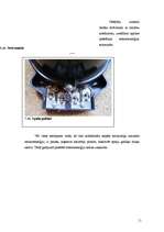 Referāts 'Nelikumīgas elektroenerģijas izlietošana', 11.