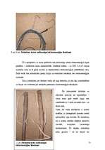 Referāts 'Nelikumīgas elektroenerģijas izlietošana', 13.