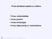 Prezentācija 'Virusuloģija', 2.