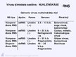 Prezentācija 'Virusuloģija', 26.